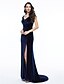 cheap Evening Dresses-Sheath / Column Elegant Furcal Formal Evening Black Tie Gala Dress V Neck Sleeveless Sweep / Brush Train Velvet with Split Front 2021