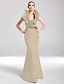 cheap Special Occasion Dresses-Mermaid / Trumpet Elegant Dress Party Wear Floor Length Sleeveless V Neck Taffeta with Ruffles 2022