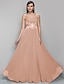 Χαμηλού Κόστους Βραδινά Φορέματα-Γραμμή Α Κομψό Χοροεσπερίδα Επίσημο Βραδινό Φόρεμα Λαιμόκοψη V Αμάνικο Μακρύ Σιφόν με Πιασίματα Διακοσμητικά Επιράμματα 2021