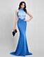 Χαμηλού Κόστους Φορέματα ειδικών περιστάσεων-Τρομπέτα / Γοργόνα Δένει στο Λαιμό Ουρά Ζέρσεϊ / Δαντέλα χάντρες Φόρεμα με Χάντρες / Δαντέλα με TS Couture®