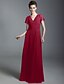 cheap Special Occasion Dresses-Sheath / Column V Neck Floor Length Chiffon Dress with Draping / Ruched by TS Couture®