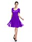 cheap Special Occasion Dresses-A-Line / Fit &amp; Flare Queen Anne Knee Length Chiffon Dress with Criss Cross / Ruched by TS Couture®