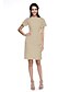 Χαμηλού Κόστους Φορέματα ειδικών περιστάσεων-Ίσια Γραμμή Με Κόσμημα Μέχρι το γόνατο Σατέν Φόρεμα με Πλισέ με TS Couture®
