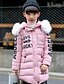 cheap Outerwear-Girls&#039; Down &amp; Cotton Padded Long Sleeve Solid Colored Polyester Kids 3D Printed Graphic