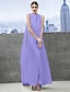 cheap Special Occasion Dresses-Sheath / Column Celebrity Style Dress Prom Formal Evening Ankle Length Sleeveless Bateau Neck Chiffon with Pleats 2023