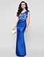 cheap Evening Dresses-Mermaid / Trumpet Color Block Formal Evening Dress Strapless Sleeveless Floor Length Lace Over Satin with Lace Side Draping 2020