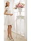 Χαμηλού Κόστους Νυφικά Φορέματα-Γραμμή Α Φορεματα για γαμο Bateau Neck Μέχρι το γόνατο Δαντέλα πάνω από σατέν Κοντομάνικο Μικρά Άσπρα Φορέματα Σι-θρου με Ζωνάρια / Κορδέλες Φιόγκος(οι) 2020
