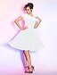cheap Special Occasion Dresses-A-Line / Fit &amp; Flare Illusion Neck Knee Length Lace Dress with Buttons / Draping by TS Couture®