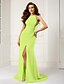 cheap Special Occasion Dresses-Sheath / Column Halter Neck Sweep / Brush Train Chiffon Dress with Split Front by TS Couture®