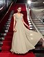 Χαμηλού Κόστους Βραδινά Φορέματα-Ίσια Γραμμή Στυλ Διασήμων Κομψό Εμπνευσμένο από την Emmy Αργίες Κοκτέιλ Πάρτι Επίσημο Βραδινό Φόρεμα Λαιμόκοψη V Κοντομάνικο Μακρύ Σιφόν με Χιαστί Χάντρες 2022