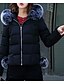 ieftine Geci și jachete cu puf pentru femei-Pentru femei Ieșire Casual / Șic Stradă Căptușit - Mată