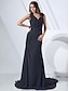 cheap Special Occasion Dresses-Sheath / Column Elegant Dress Formal Evening Sweep / Brush Train Sleeveless Cowl Neck Chiffon with Criss Cross Side Draping 2023