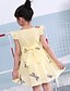 preiswerte Kleider-Mädchen&#039; Langarm Geometrisch 3D-gedruckte Grafik Kleider Zeichentrick Baumwolle Kleid Sommer