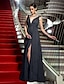 Χαμηλού Κόστους Φορέματα ειδικών περιστάσεων-Ίσια Γραμμή Βυθίζοντας το λαιμό Μακρύ Σιφόν Φόρεμα με Με Άνοιγμα Μπροστά / Πιασίματα με TS Couture®