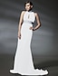 cheap Special Occasion Dresses-Mermaid / Trumpet Celebrity Style Elegant Inspired by Sex and the City Formal Evening Military Ball Dress High Neck Sleeveless Court Train Chiffon with Crystals Beading Draping 2021