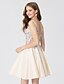 cheap Prom Dresses-Ball Gown Elegant Open Back Holiday Homecoming Cocktail Party Dress Scoop Neck Sleeveless Short / Mini Lace Satin with Appliques  / Prom