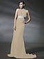 cheap Special Occasion Dresses-Mermaid / Trumpet Celebrity Style Elegant Inspired by Sex and the City Formal Evening Military Ball Dress High Neck Sleeveless Court Train Chiffon with Crystals Beading Draping 2021