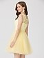 cheap Cocktail Dresses-Ball Gown Holiday Homecoming Cocktail Party Dress Jewel Neck Sleeveless Short / Mini Lace Tulle with Pleats Appliques  / Prom
