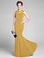 זול שמלות לאם הכלה-בתולת ים / חצוצרה אם הכלה שמלת צוואר תכשיט באורך רצפת ג&#039;רסי ללא שרוולים עם קפלים 2023