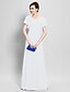 preiswerte Kleider für die Brautmutter-Eng anliegend Brautmutterkleid Vintage inspiriert V Ausschnitt Boden-Länge Chiffon Kurzarm nein mit Überkreuzte Rüschen 2024