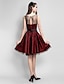Χαμηλού Κόστους Φορέματα ειδικών περιστάσεων-Γραμμή Α / Εφαρμοστό &amp; Εμβαζέ Illusion Seckline Μέχρι το γόνατο Σατέν / Τούλι Φόρεμα με Ζώνη / Κορδέλα με TS Couture®