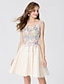 cheap Prom Dresses-Ball Gown Elegant Open Back Holiday Homecoming Cocktail Party Dress Scoop Neck Sleeveless Short / Mini Lace Satin with Appliques  / Prom