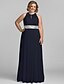cheap Evening Dresses-Sheath / Column Celebrity Style Dress Prom Floor Length Sleeveless Halter Neck Chiffon with Pleats Sequin 2022 / Formal Evening / Keyhole