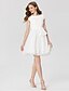 cheap Special Occasion Dresses-Ball Gown Jewel Neck Short / Mini Chiffon Dress with Bow(s) / Buttons / Sash / Ribbon by TS Couture® / Cocktail Party / Prom
