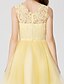 cheap Cocktail Dresses-Ball Gown Holiday Homecoming Cocktail Party Dress Jewel Neck Sleeveless Short / Mini Lace Tulle with Pleats Appliques  / Prom
