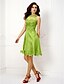 cheap Special Occasion Dresses-A-Line Plus Size Dress Holiday Knee Length Sleeveless Illusion Neck Organza with Buttons Appliques 2022