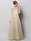 cheap Special Occasion Dresses-A-Line Open Back Prom Formal Evening Dress Strapless Sleeveless Floor Length Lace Tulle with Lace Draping