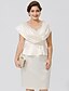 cheap Plus Size Mother of the Bride Dress-Sheath / Column Mother of the Bride Dress Chic &amp; Modern Glamorous &amp; Dramatic Plus Size V Neck Knee Length Satin Sleeveless No with Criss Cross Appliques Crystal Brooch 2023 / Formal / Formal