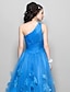 cheap Prom Dresses-A-Line 1950s Dress Cocktail Party Prom Knee Length Sleeveless One Shoulder Tulle with Ruched Appliques 2023