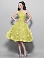 זול שמלות נשף-גזרת A שנות ה-50 שמלה מסיבת קוקטייל נשף רקודים באורך  הברך ללא שרוולים כתפיה אחת טול עם אסוף אפליקציות 2023