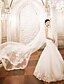 cheap Wedding Veils-Two-tier Wedding Veil Cathedral Veils with Appliques Lace / Tulle / Angel cut / Waterfall