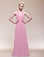 cheap Special Occasion Dresses-Sheath / Column V Neck Floor Length Chiffon Dress with Draping / Ruched by TS Couture®