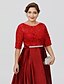 cheap Mother of the Bride Dresses-Ball Gown A-Line Mother of the Bride Dress Classic &amp; Timeless Elegant &amp; Luxurious Plus Size Jewel Neck Floor Length Lace Over Satin Half Sleeve with Sash / Ribbon 2022 / See Through