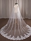 رخيصةأون طرحات الزفاف-One-tier الحجاب الزفاف Cathedral Veils مع زينة دانتيل / تول / Angel cut / Waterfall