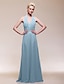 cheap Special Occasion Dresses-Sheath / Column V Neck Floor Length Chiffon Dress with Draping / Ruched by TS Couture®