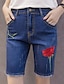 cheap Women&#039;s Pants-Women&#039;s Slim / Jeans / Shorts Pants - Embroidered Blue / Beach