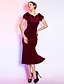 tanie Sukienki na specjalne okazje-Syrena Królowa Anna Lekko nad kolana Jedwab Sukienka z Plisy przez TS Couture®