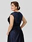 billige Kjoler til brudens mor-Ball Gown A-Line Mother of the Bride Dress Beautiful Back Plus Size See Through V Neck Floor Length Lace Stretch Satin Sleeveless with Criss Cross Pleats 2022