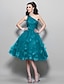 cheap Prom Dresses-A-Line 1950s Dress Cocktail Party Prom Knee Length Sleeveless One Shoulder Tulle with Ruched Appliques 2023