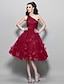 cheap Prom Dresses-A-Line 1950s Dress Cocktail Party Prom Knee Length Sleeveless One Shoulder Tulle with Ruched Appliques 2023