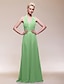 cheap Special Occasion Dresses-Sheath / Column V Neck Floor Length Chiffon Dress with Draping / Ruched by TS Couture®