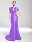 ieftine Robes d&#039;Occasions Spéciales-Mermaid / Trumpet Jewel Neck Sweep / Brush Train Charmeuse Dress with Ruched by TS Couture®