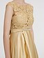 Χαμηλού Κόστους Βραδινά Φορέματα-Α-γραμμή όμορφη πλάτη κομψό επίσημο βραδινό φόρεμα με λαιμόκοψη αμάνικη δαντέλα στο πάτωμα με δαντελένιο φύλλο/φιόγκο(-ους) κορδέλας