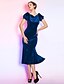 cheap Special Occasion Dresses-Mermaid / Trumpet Queen Anne Tea Length Velvet Dress with Pleats by TS Couture®