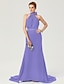 cheap Evening Dresses-Sheath / Column Elegant Dress Holiday Cocktail Party Court Train Sleeveless High Neck Chiffon with Sash / Ribbon Bow(s) Pleats 2024