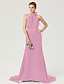 cheap Evening Dresses-Sheath / Column Elegant Dress Holiday Cocktail Party Court Train Sleeveless High Neck Chiffon with Sash / Ribbon Bow(s) Pleats 2024